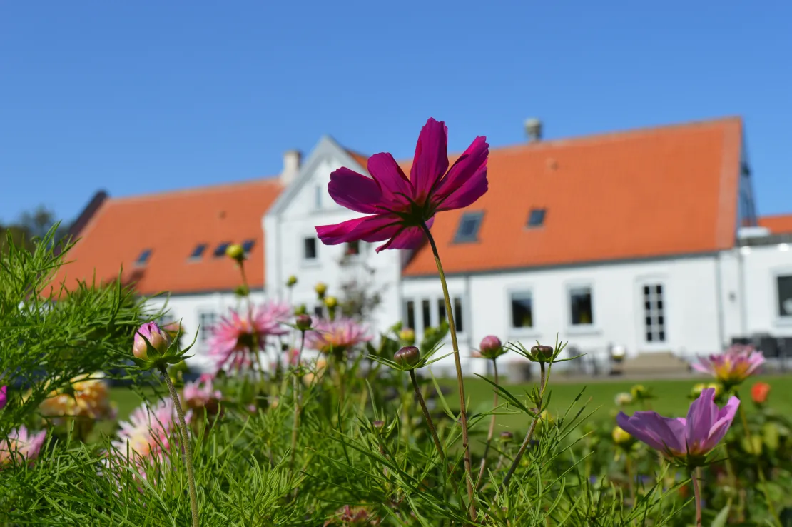 Oplev Aalbæk Badehotel