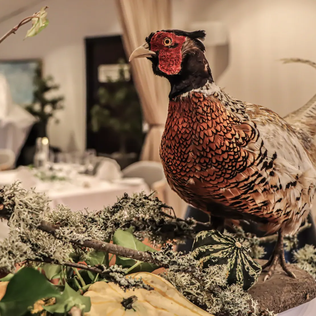 Spis godt på Aalbæk Badehotel & Restaurant
