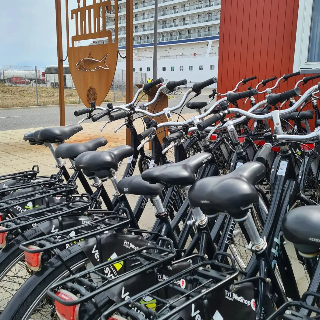 Skagen Bike Rental