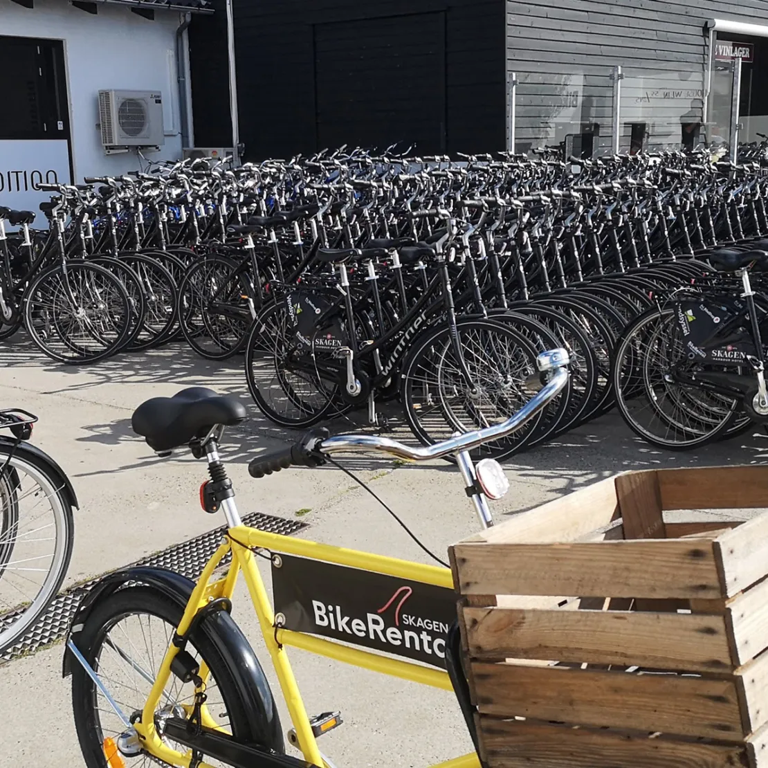 Skagen Bike Rental