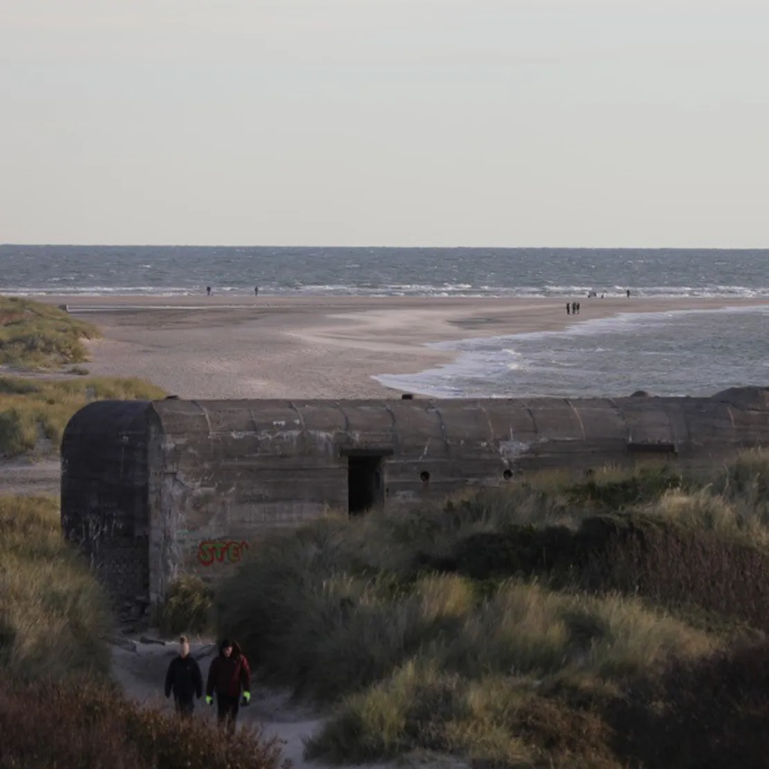 Udsigt over Grenen med bunker