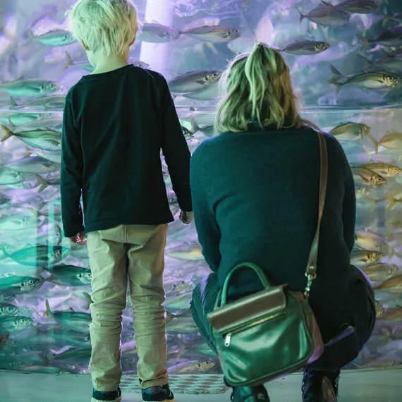 Nordsøen Oceanarium oplevelser for hele familien