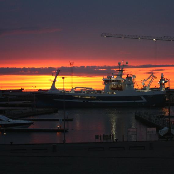 Skagen Havn ved solopgang