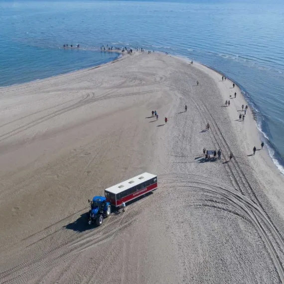 Sandormen på Grenen