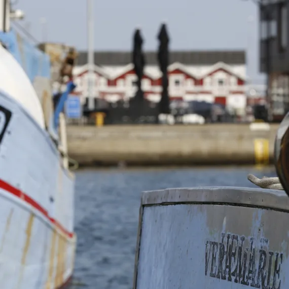 Morgentur på Skagen Havn