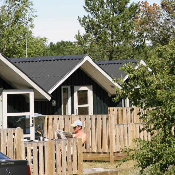 Hytte på Råbjerg Mile Camping