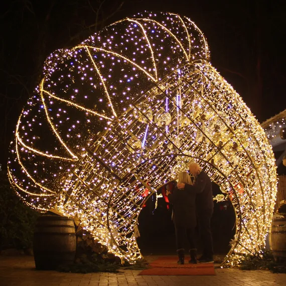 Jul i Aalborg Zoo