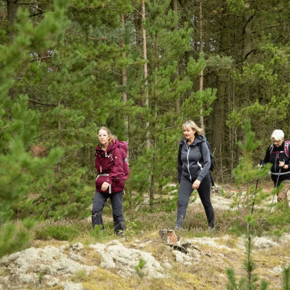 vandretur i skagen klitplantage