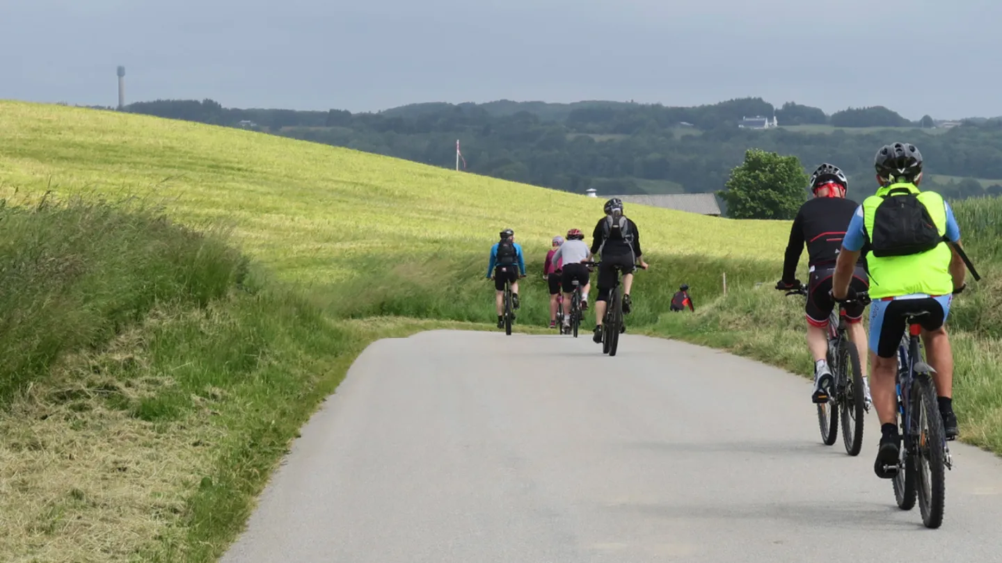 Cykelruter ved Frederikshavn