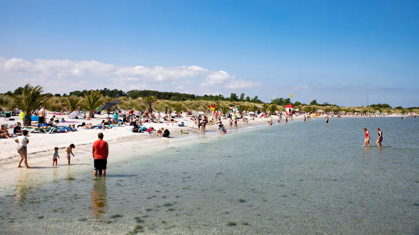Palmestranden Frederikshavn
