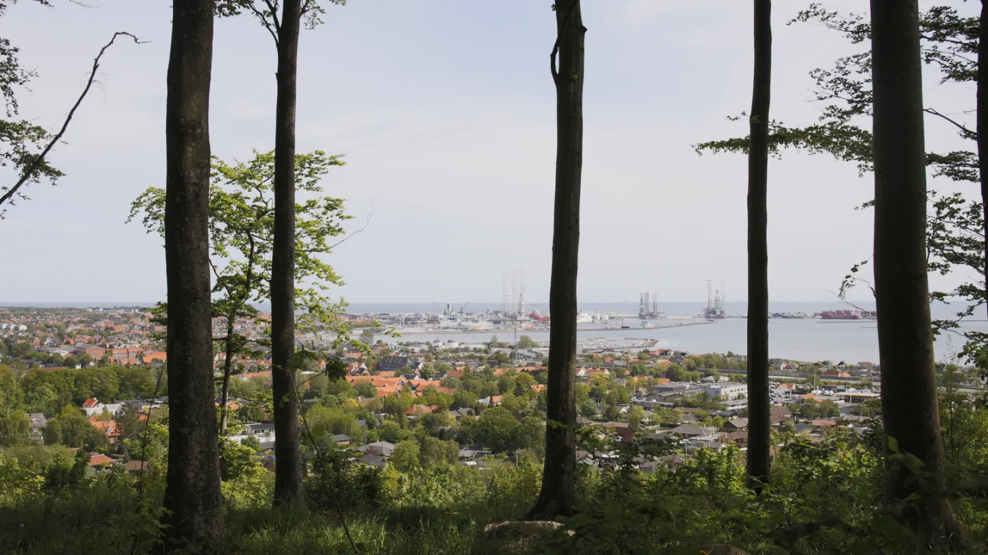 Vandre- og løberuter