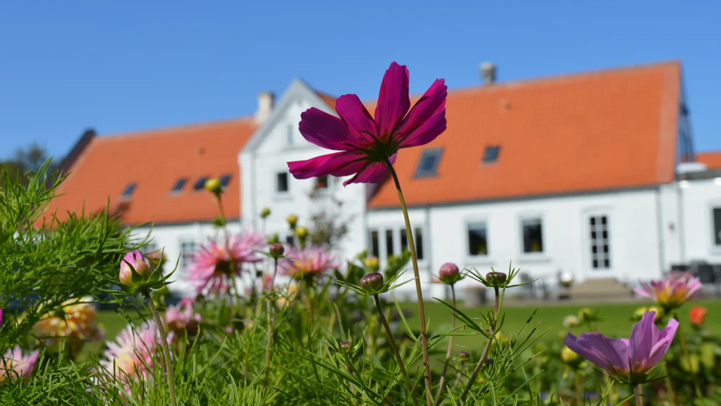 Aalbæk Badehotel 