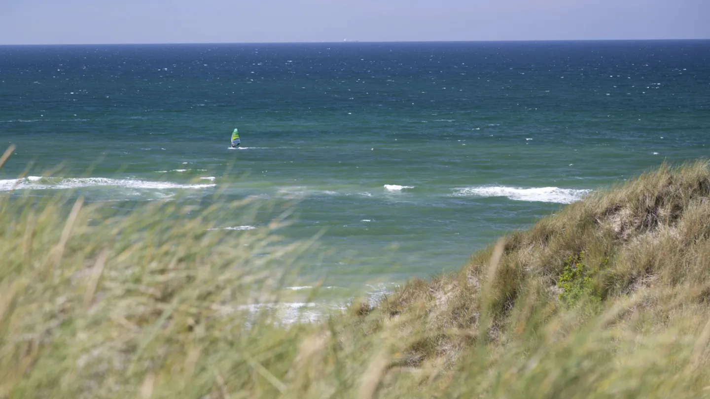 Aktiv i Skagen med windsurfing