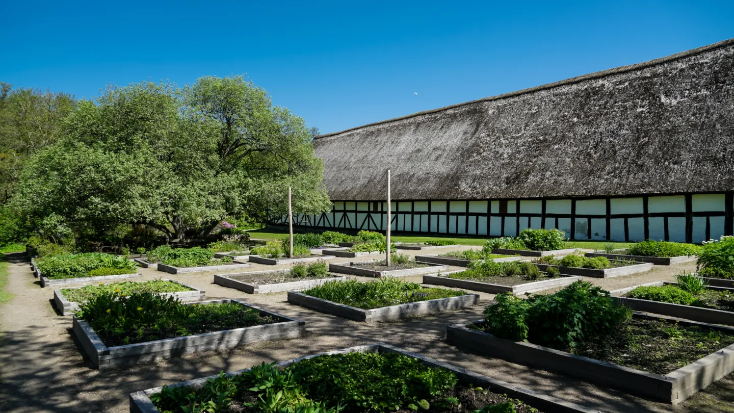 Bangsbo Botaniske Have