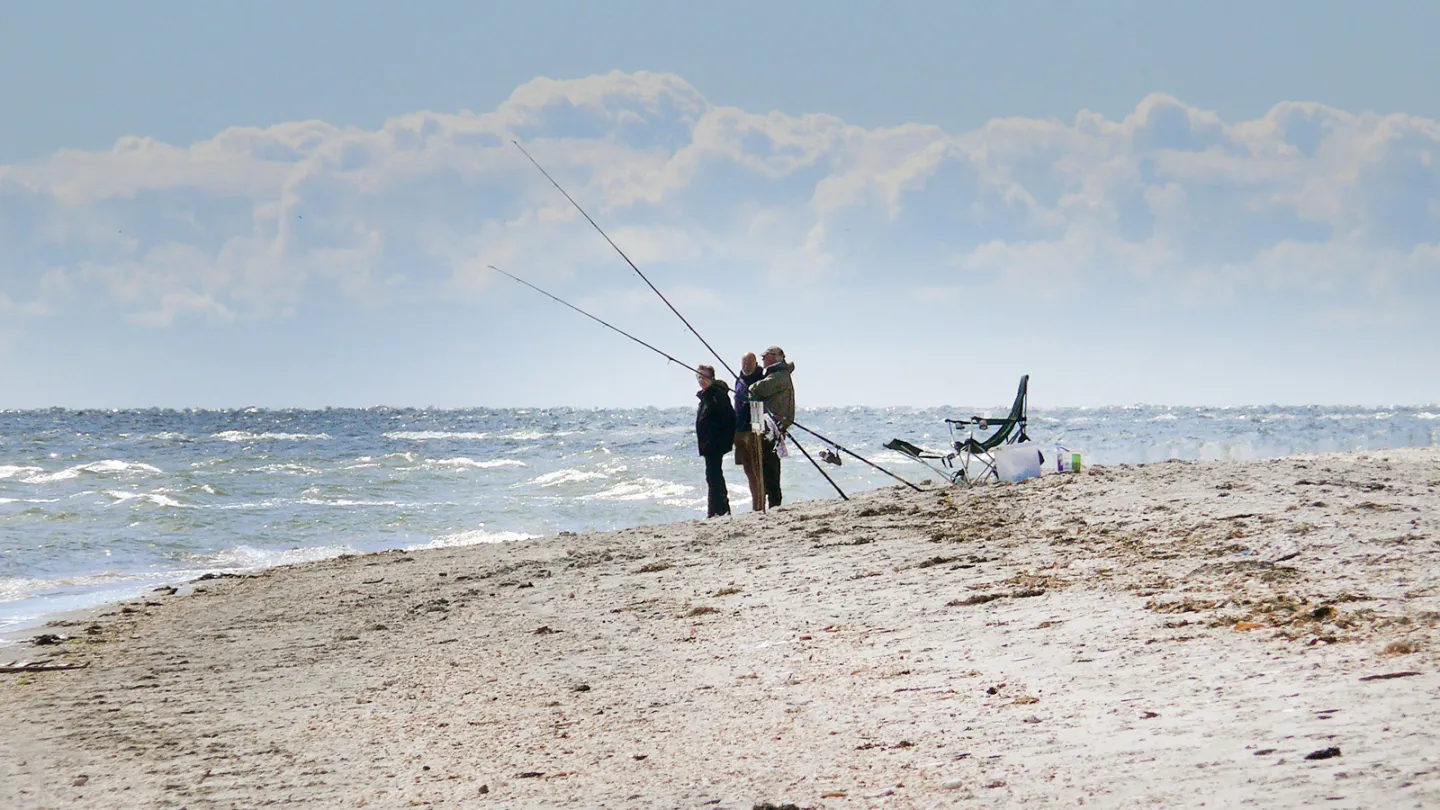 Lystfiskeri fra stranden ved Lyngså