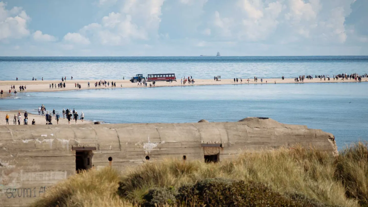 Udsigt over Grenen med Sandormen