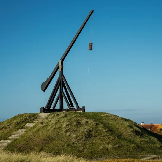 vippefyret skagen