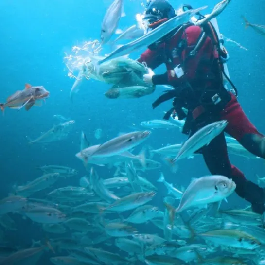 Nordsøen Oceanarium i Hirtshals