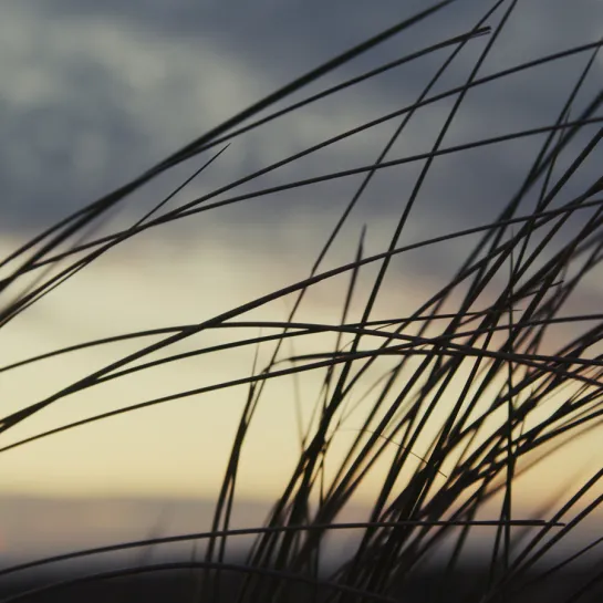 Broschüren aus Frederikshavn, Skagen und Sæby