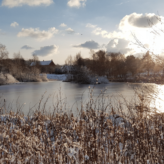 Vinter i Sæby