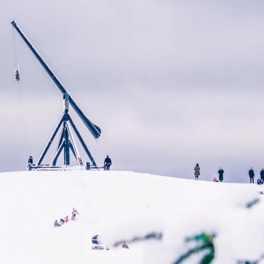 Jul i Skagen