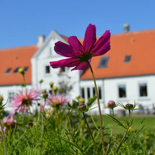 Aalbæk Badehotel