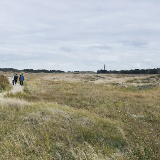 Aktiv ferie i Toppen af Danmark