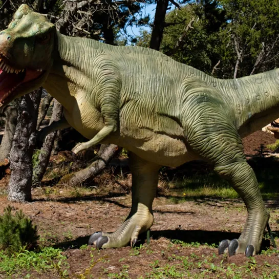 Dino Golf ved Skagen 