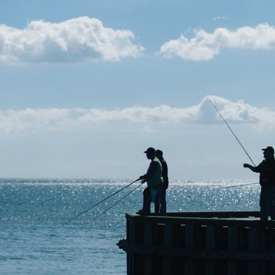 Lystfiskeri fra molen i Sæby