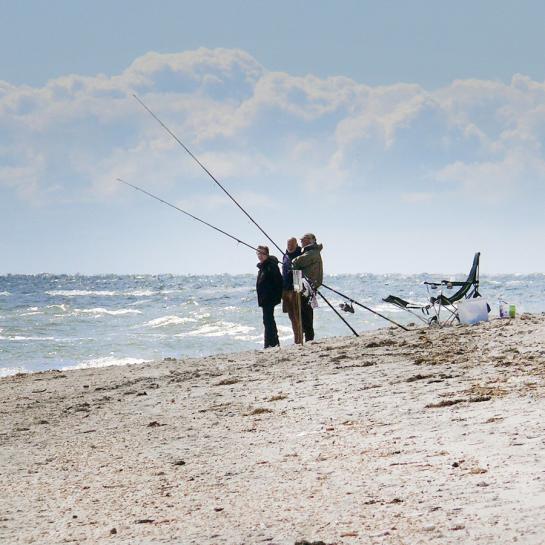 Lystfiskeri fra stranden tæt ved Professorens Plantage i Sæby