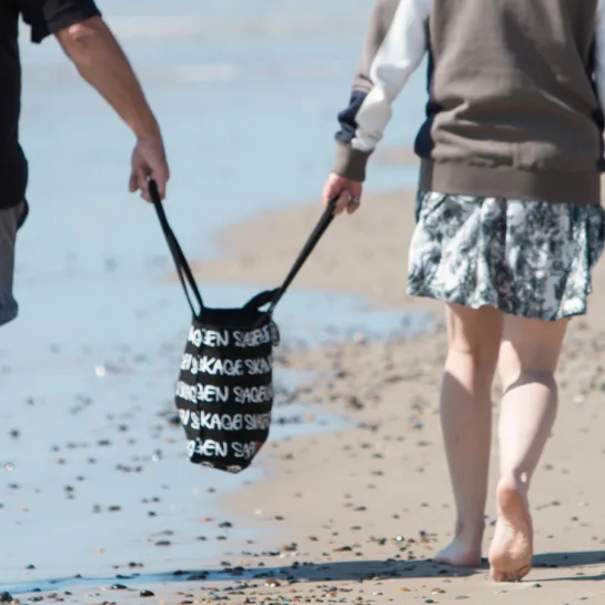 Beaches in Skagen