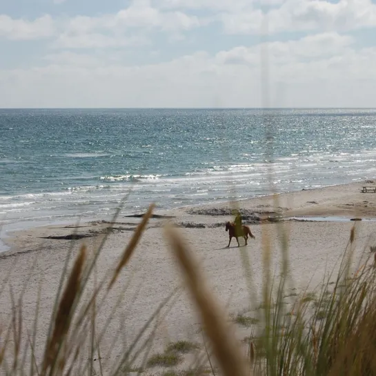 Lyngsaa Strand på hesteryg