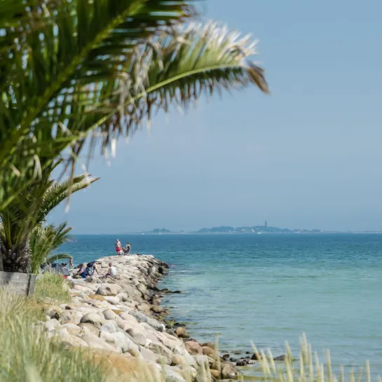 Sommerstemning på Palmestranden med udsigt til Hirsholmene