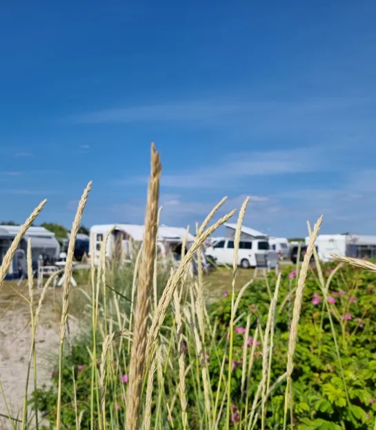 First Camp Grenen Strand – Skagen